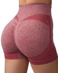Flash Sales - Breathable Sculpt Shorts - SUUKSESS
