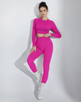Seamless Crop Top Workout Set - Long Sleeve