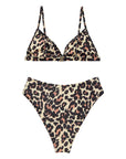 Triangle High Cut Bikini Set