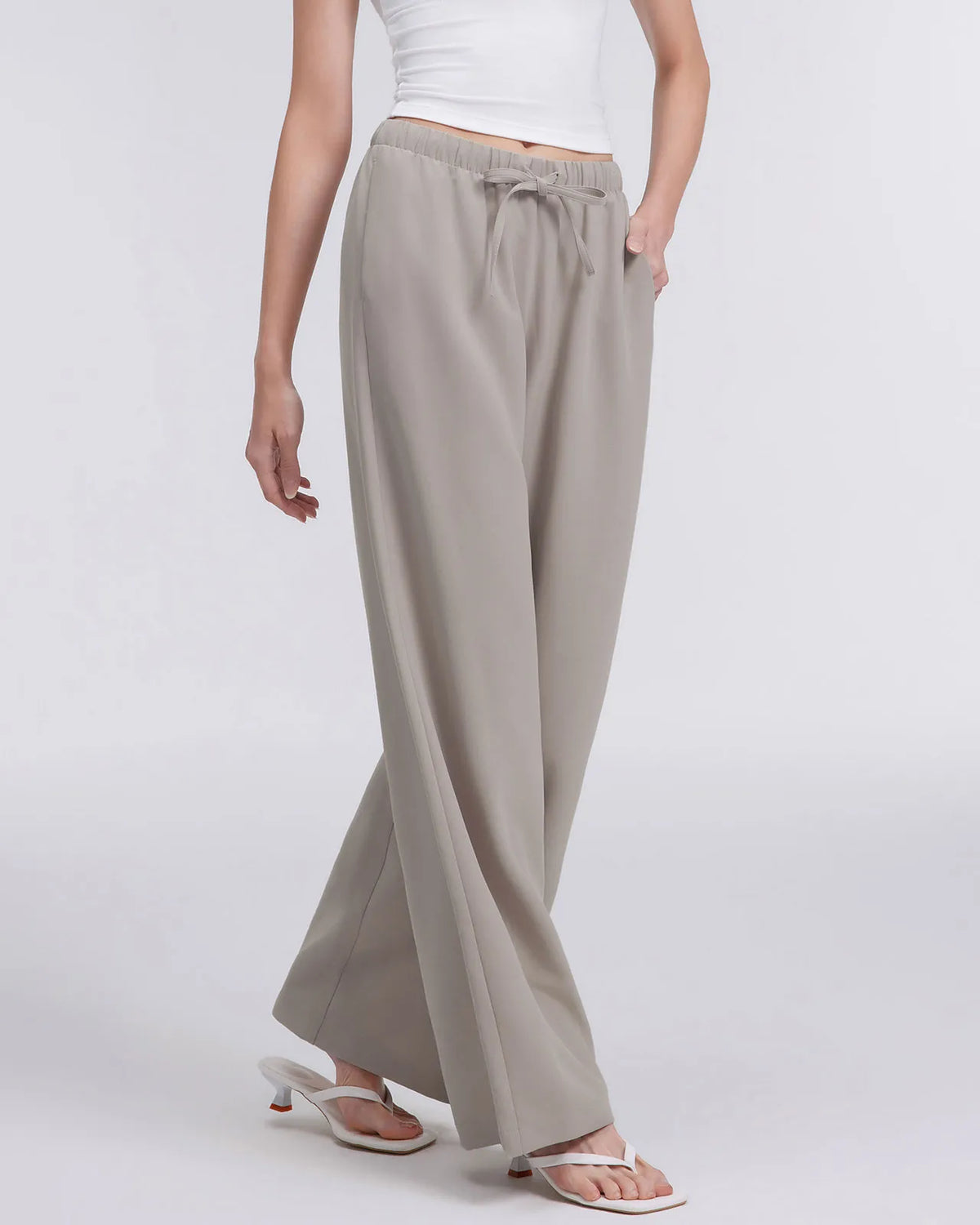 Wrinkle Free Wide Leg Pants
