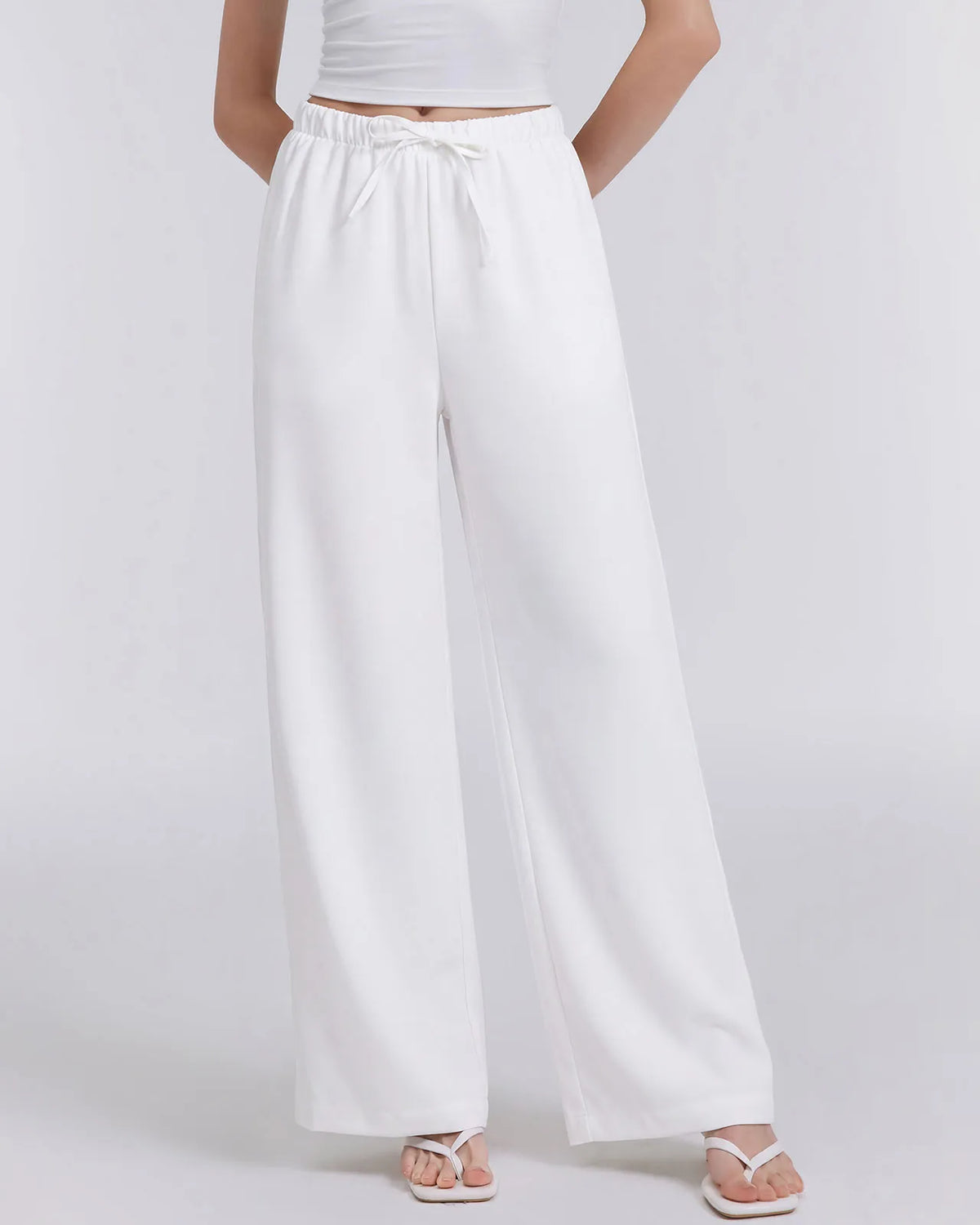Wrinkle Free Wide Leg Pants